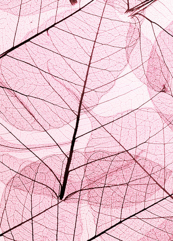 Ljuddämpande tavla - Leafs