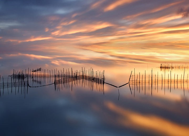 Canvastavla - Golden Serenity
